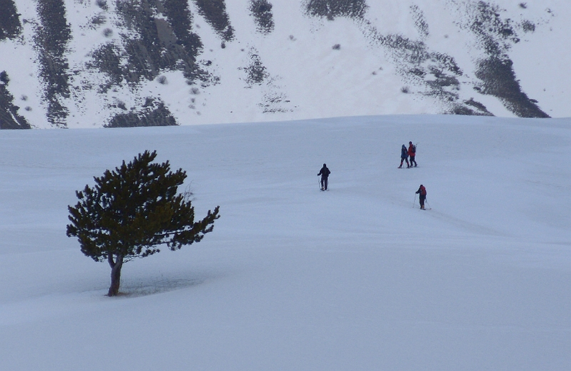 13 gruppo con albero